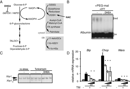 FIGURE 6: