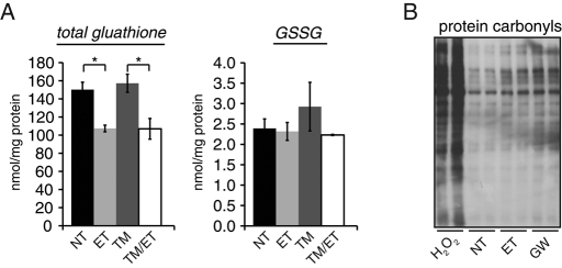 FIGURE 5: