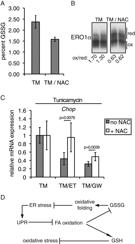 FIGURE 7: