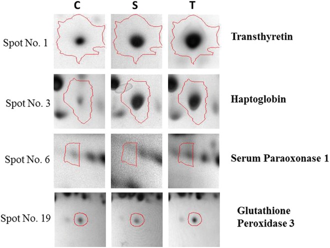 FIG. 4.