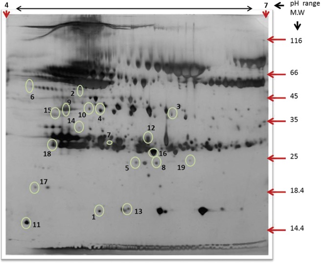 FIG. 3.