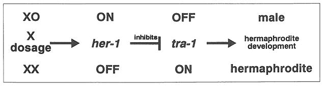 FIG 1