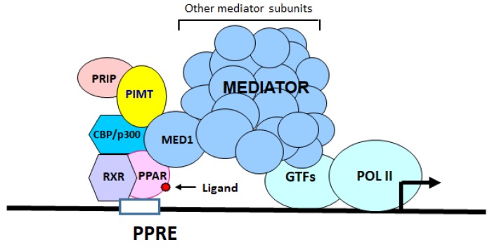 Figure 7