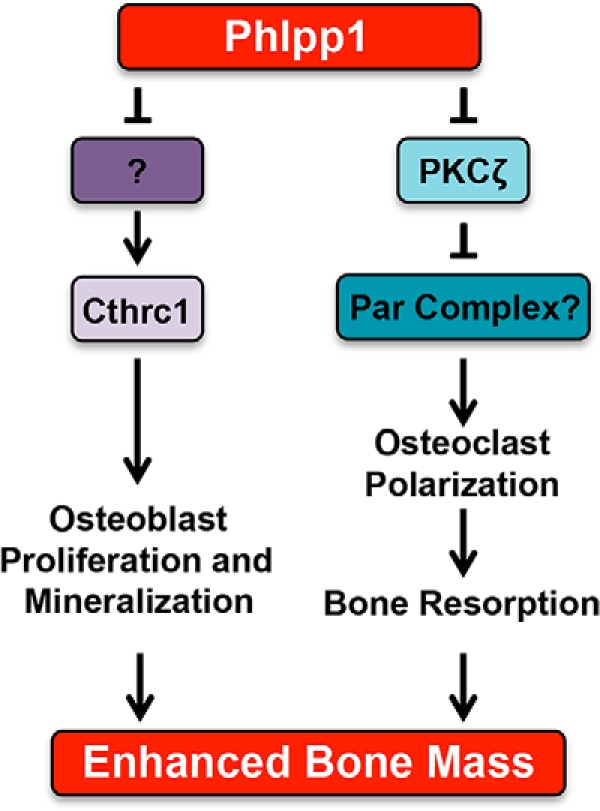 Figure 10.