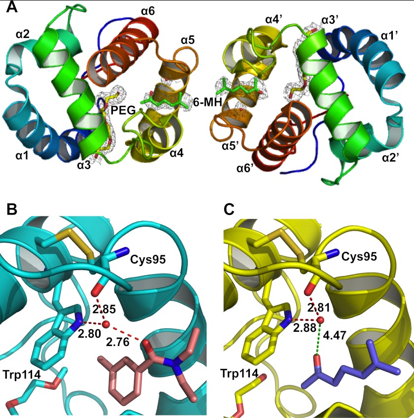 FIGURE 1.