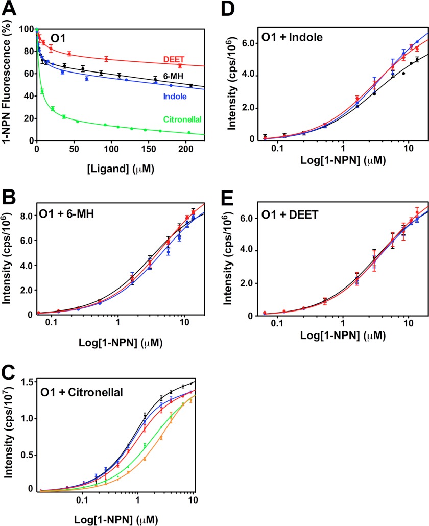 FIGURE 4.