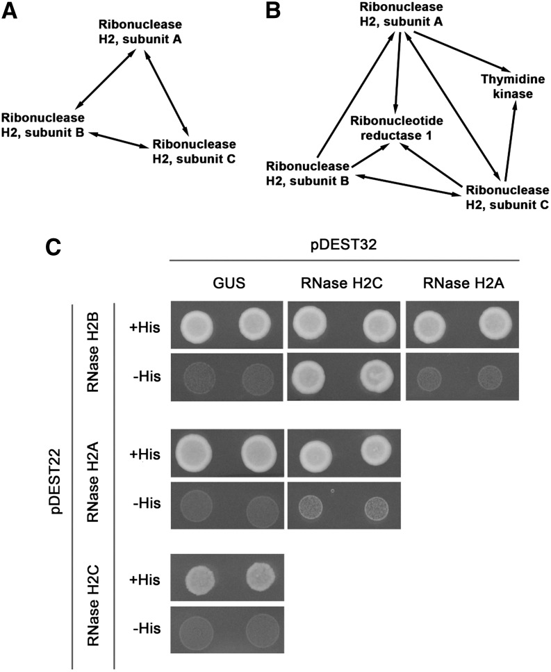 Figure 3.