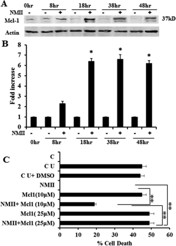 FIG 6