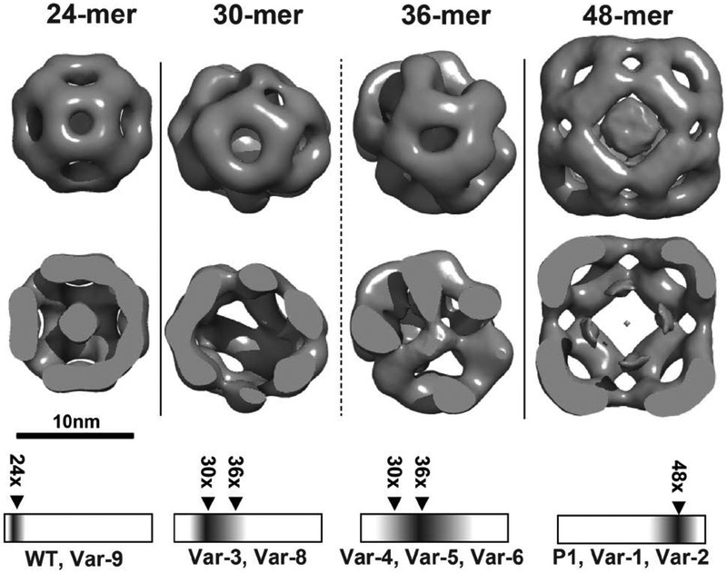 Figure 2.