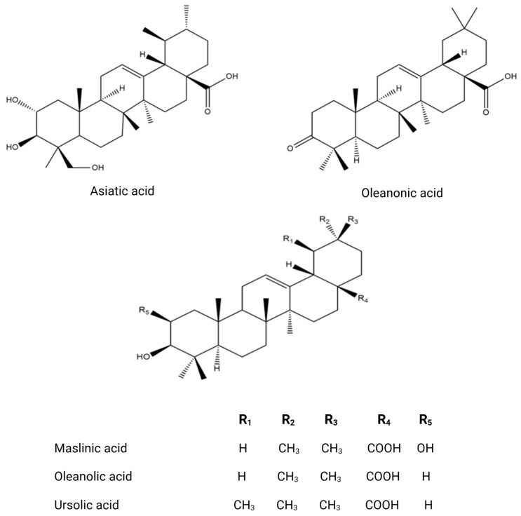 Figure 5