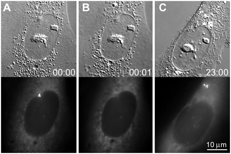 Figure 3.