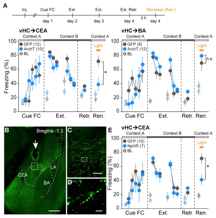 Distinct Hippocampal Pathways Mediate Dissociable Roles of Context in ...