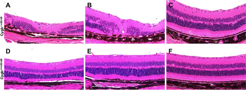 Figure 4: