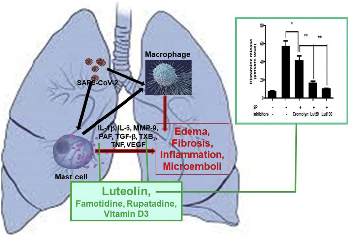 Figure 1