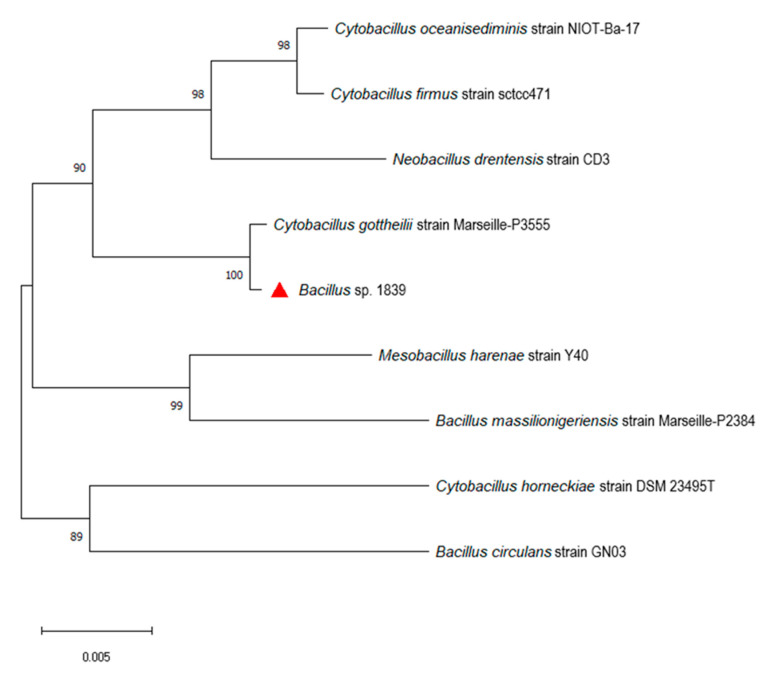 Figure 2