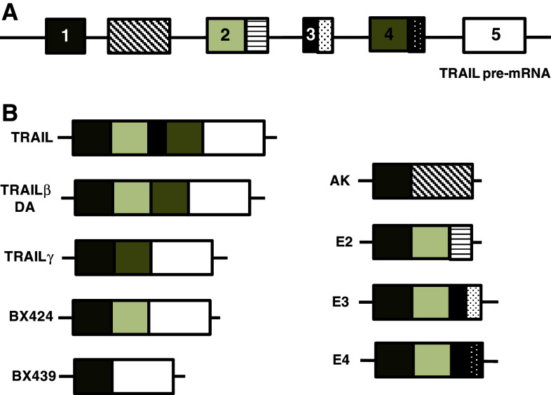 Fig. 2