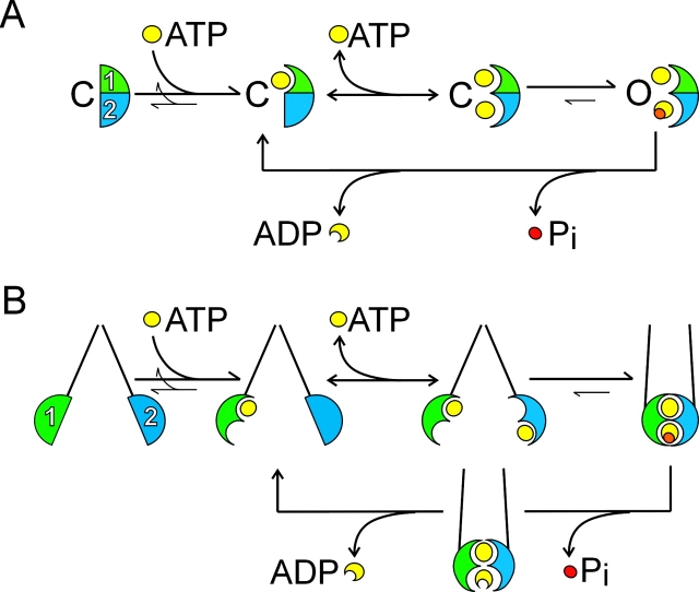 Figure 12. 