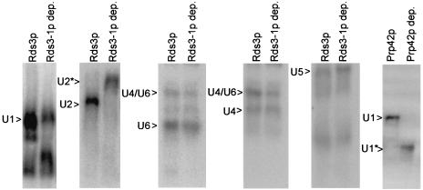 FIG. 5.