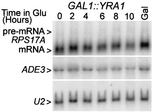 FIG. 7.