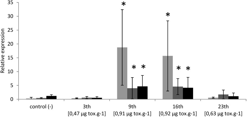 Figure 7