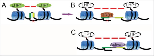 Figure 1.