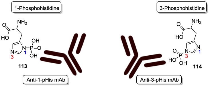 Figure 29