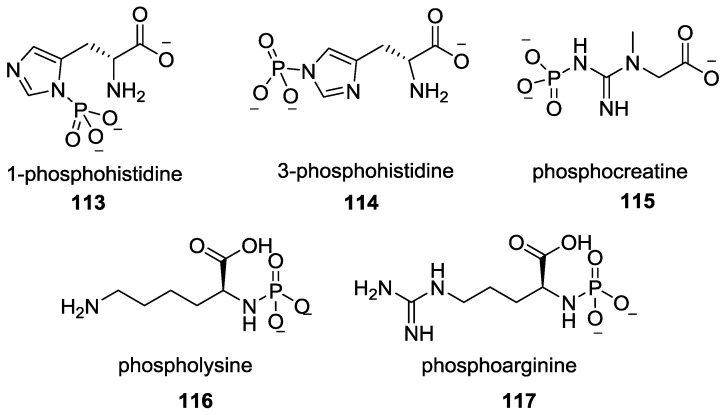 Figure 28