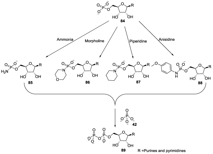 Figure 18