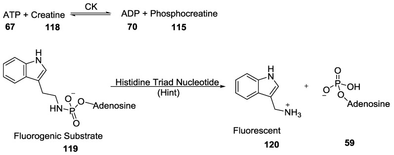 Figure 30