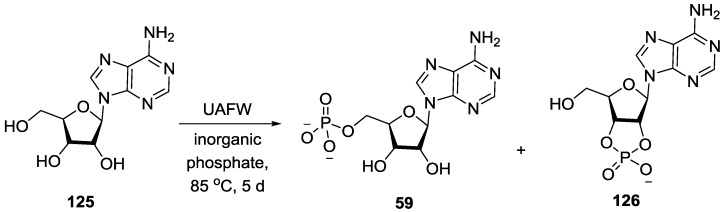 Figure 32