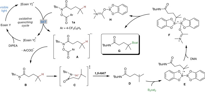 Fig. 8