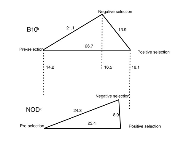 Impairment Of Organ Specific T Cell Negative Selection By Diabetes