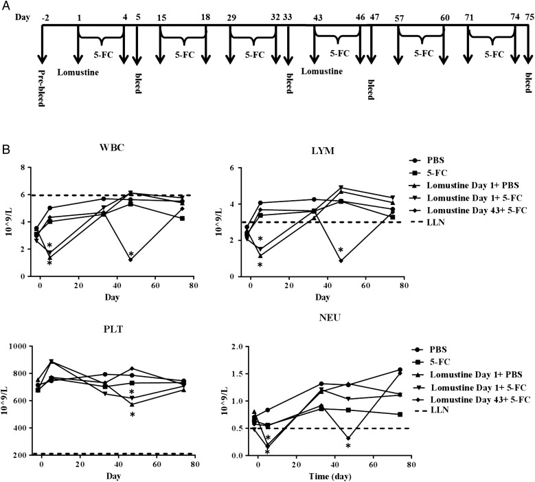 Fig. 6.