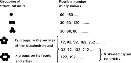 Figure 2.3
