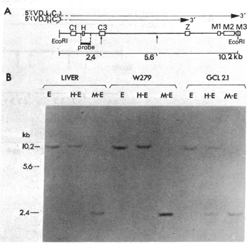 graphic file with name pnas00663-0292-a.jpg