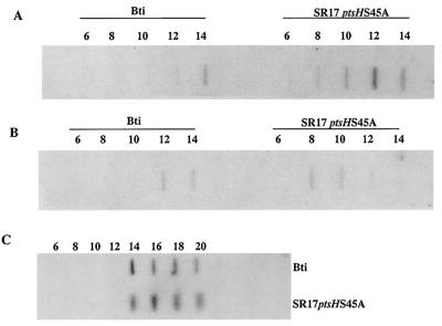 FIG. 6.