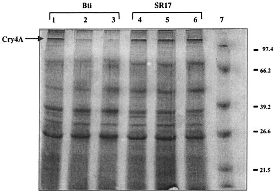 FIG. 5.