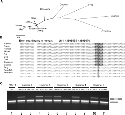 Figure 5.