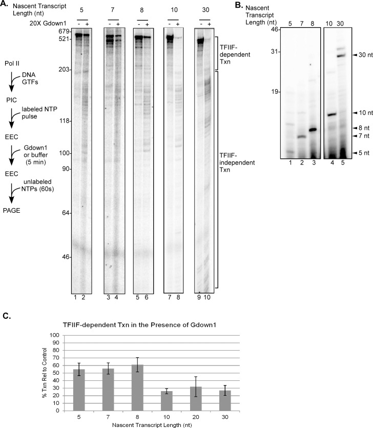 Fig 5