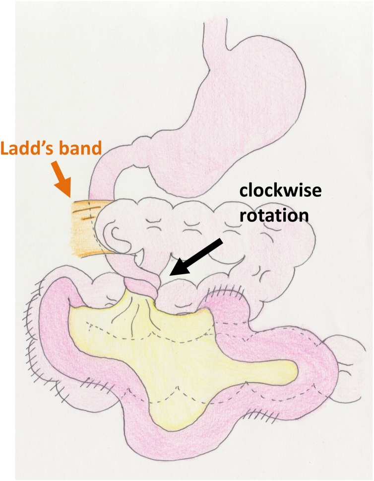 Fig. 2