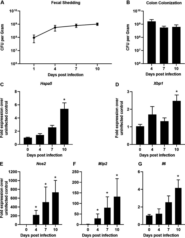 FIG 1