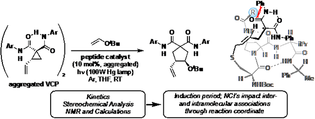 graphic file with name nihms-1789765-f0001.jpg