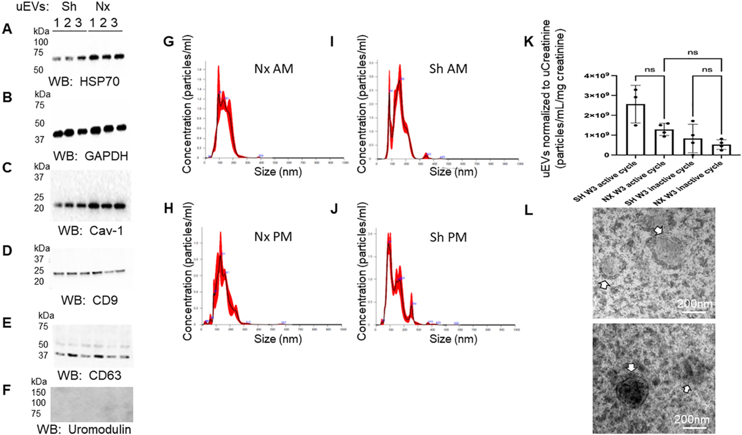 Fig. 9.