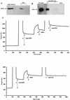 FIG. 1.