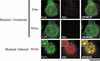 FIG. 7.