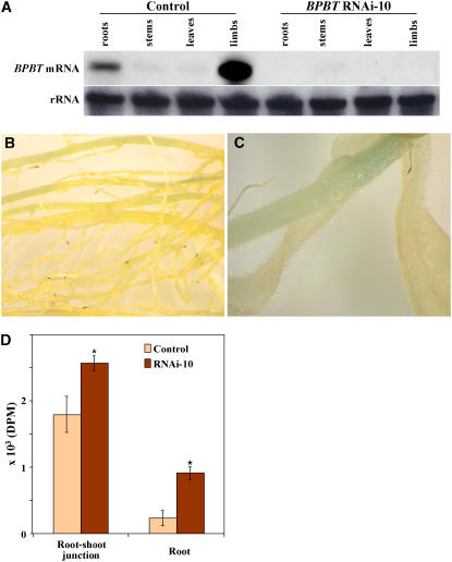 Figure 10.