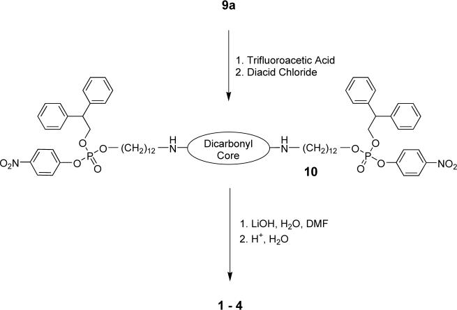 Scheme 3