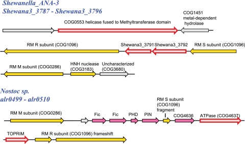 Fig. 9.