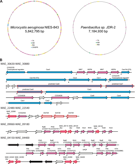 Fig. 10.