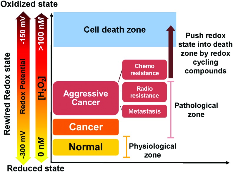 FIG. 2.